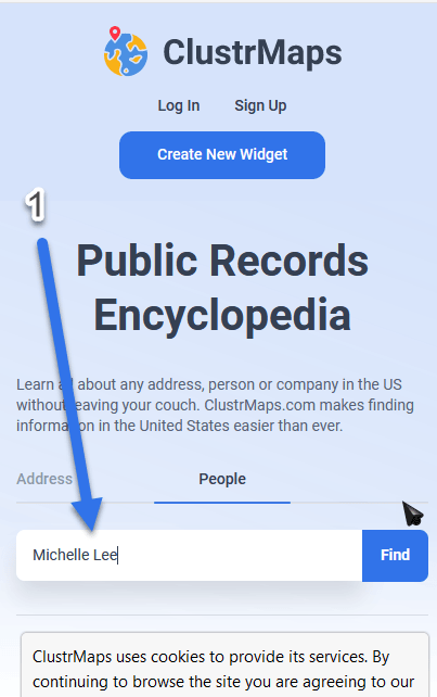 How To Opt Out Of ClustrMaps