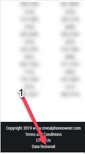 Step 2 RevealPhoneOwner Removal