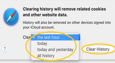 Safari_05_clear history