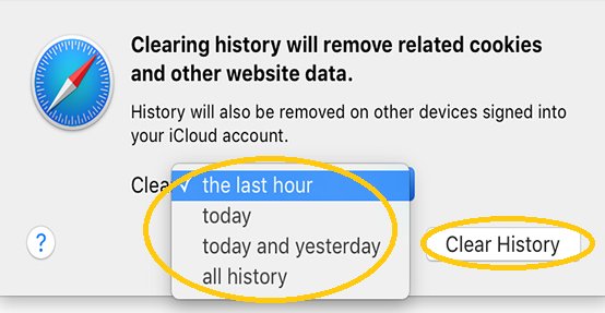 Safari_05_clear history