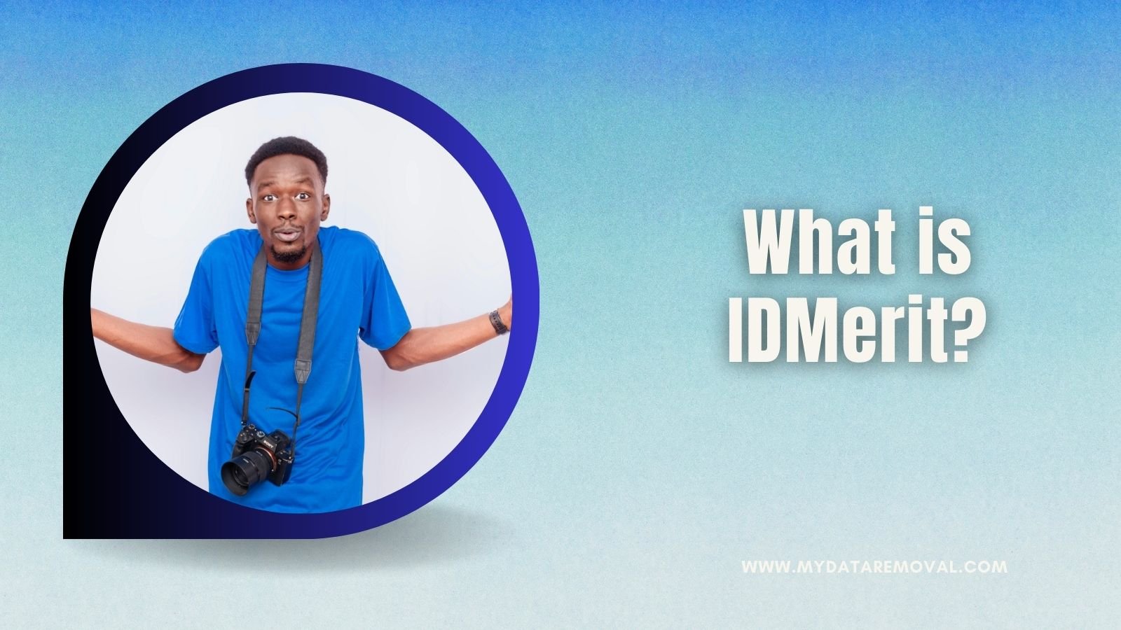 What is IDMerit